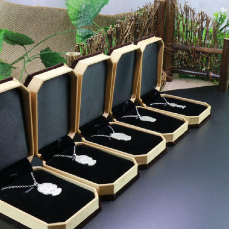 Personalised pet photo pendant necklace