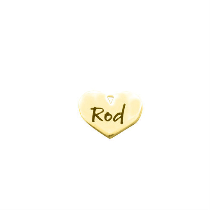Gold colour Heart Charm Dream Locket insert