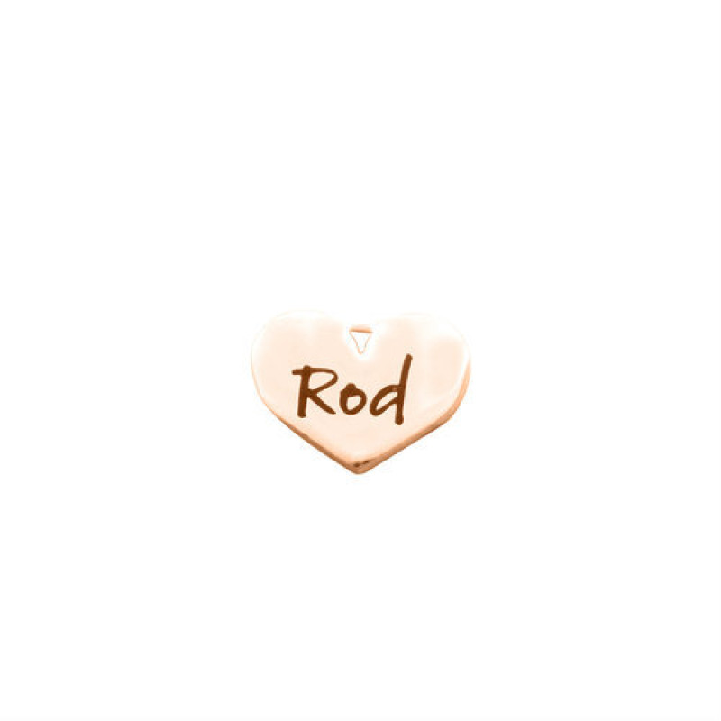 Rose gold colour Heart Charm Dream Locket insert