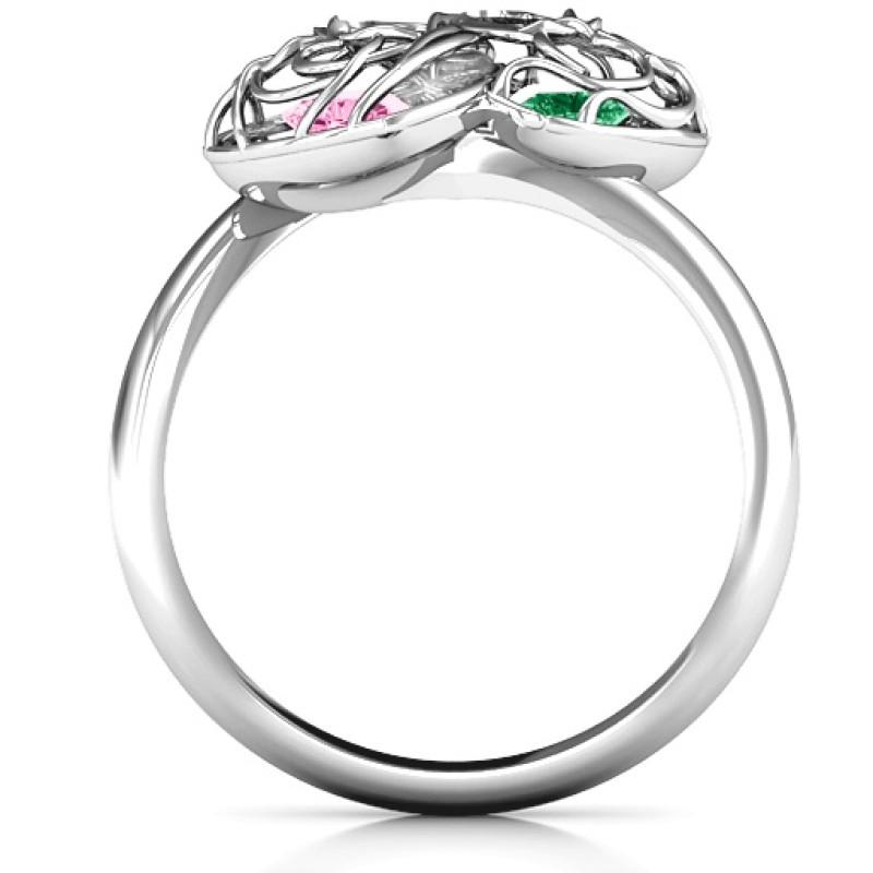 Double Heart Cage Birthstone Ring Double heart cage ring with heart-shaped birthstones product image