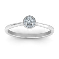 Little Luxury Halo Ring with round centre stone and halo accents