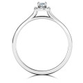 Little Luxury Halo Ring with round centre stone and halo accents