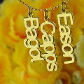 Personalised vertical multiple names necklace product image