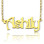 18ct Gold Plated Harrington Name Necklace