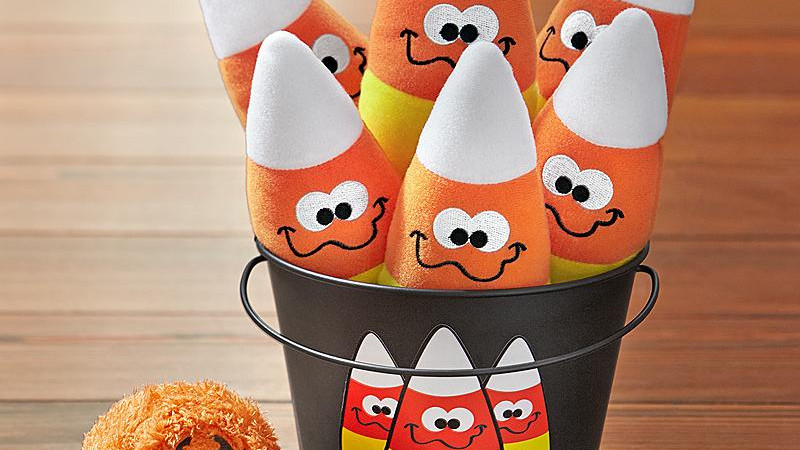 Best last minute gift ideas for all occasions