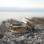 Personalised Two Tone Gold Coastline