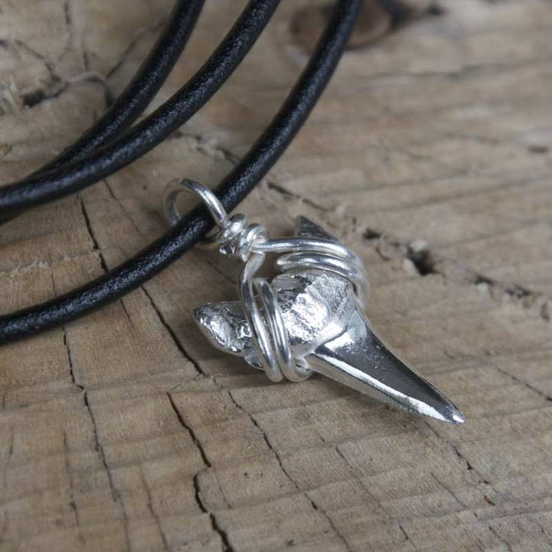 Silver shark tooth necklace
